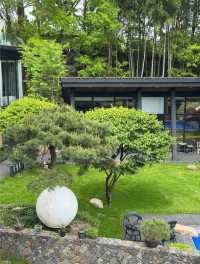 雲漫松間｜逃離城市的山頂森林秘境