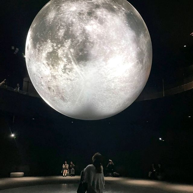 太美了！這家水族館做成了藝術展館！