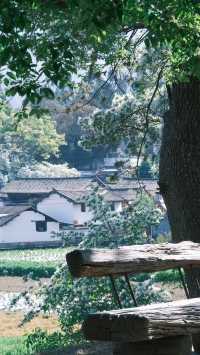 劍川特色