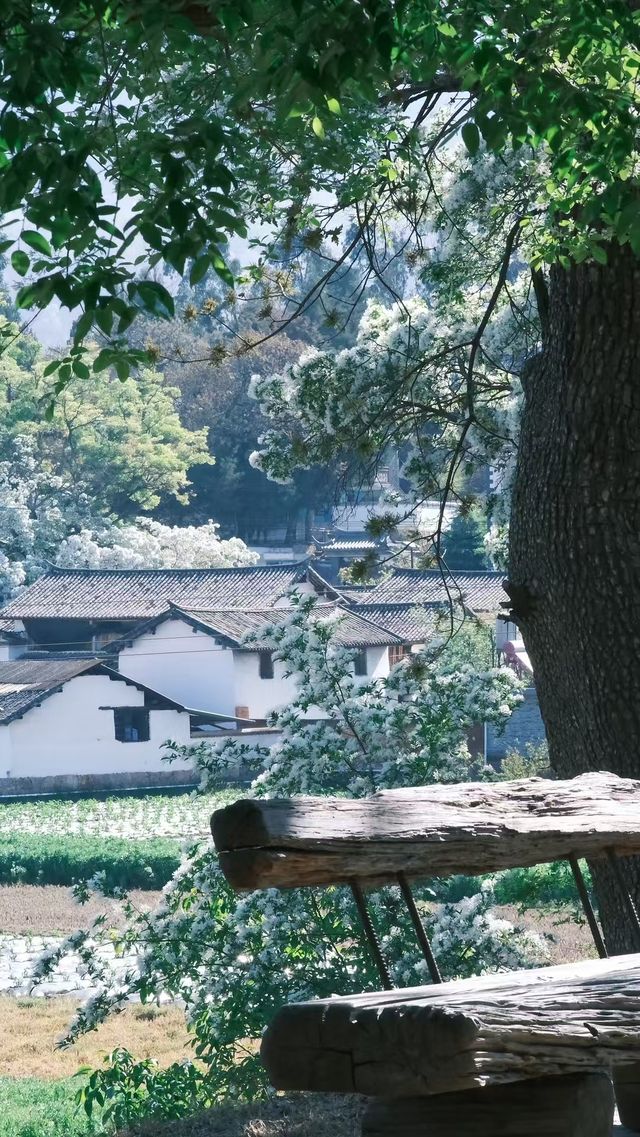 劍川特色