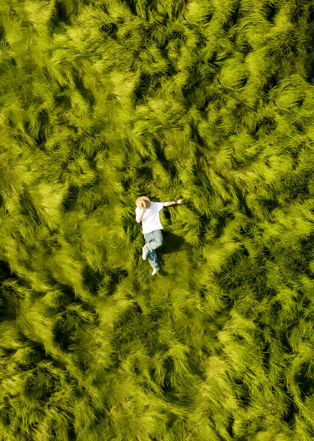 溧水旅行｜龍貓海草東廬山森系與落日詩意