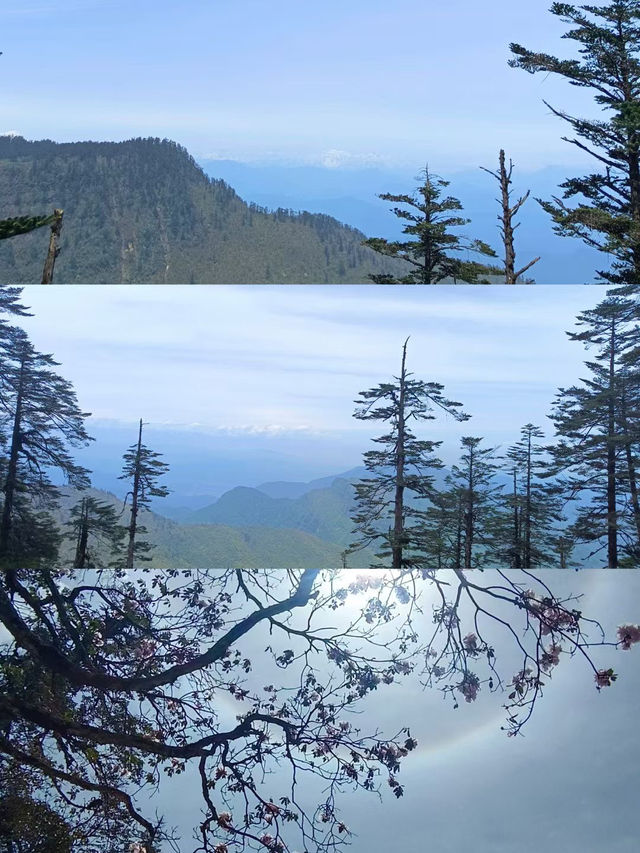 四川省眉山市著名景点：瓦屋山風景區，適合觀光旅遊、度假休閒等！