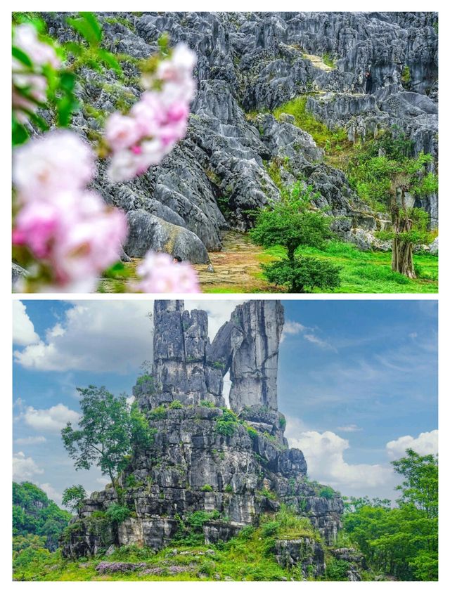 被低估嘅四川寶藏小城，2h逃離地球