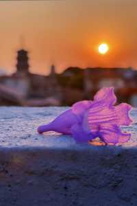 泉州天氣盲盒開到大晴天！傍晚天台追光攻略～