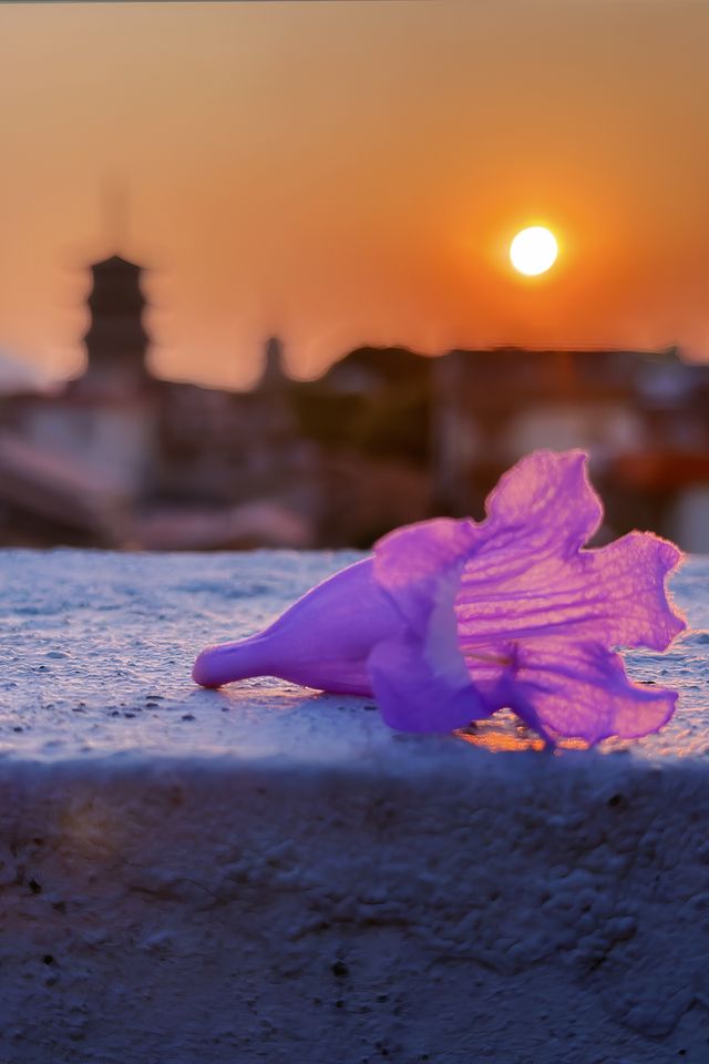 泉州天氣盲盒開到大晴天！傍晚天台追光攻略～