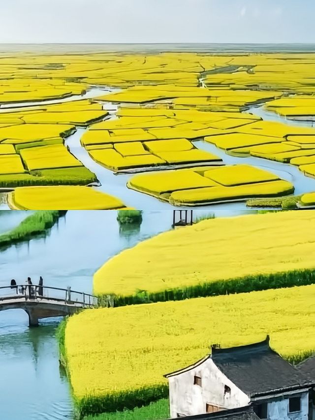 興化玩咗兩日，我嘅消費觀崩塌咗