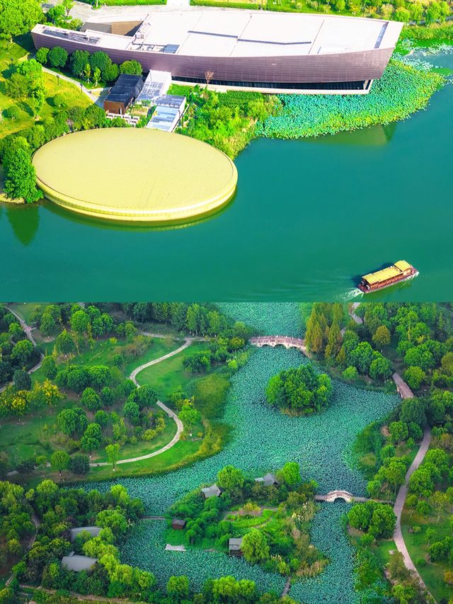 湘湖嘅水上森林好hit🔥，喺度划艇就好似走入咗綠野仙蹤咁🏞️