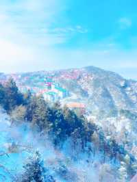 跟着“詩仙”的步伐也是徒步爬上了廬山。