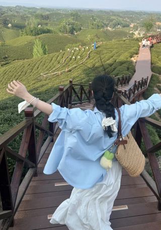 Xinyang, Henan Travel Guide: Experience Tea Plantation Life