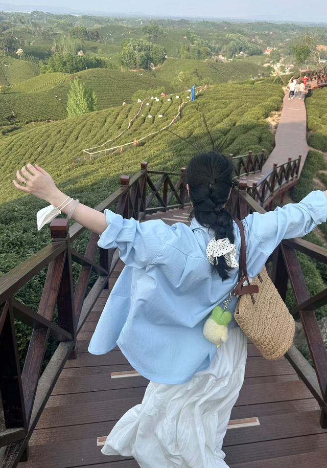 河南信陽旅遊攻略：帶你體驗茶園生活