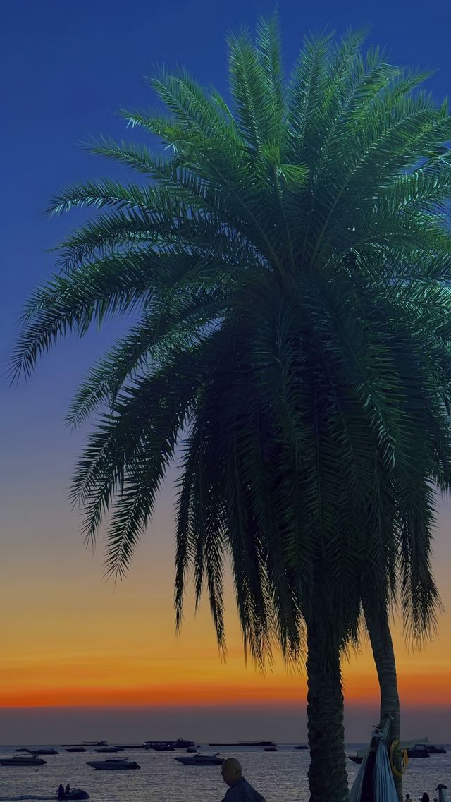 芭堤雅，一場專屬於我嘅熱帶綺夢
