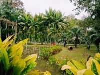 Kunming Botanical Garden: A Botanical Paradise in Southwest China