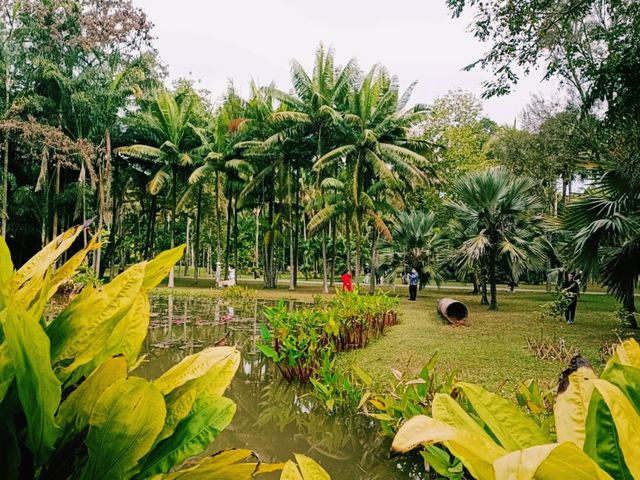 Kunming Botanical Garden: A Botanical Paradise in Southwest China