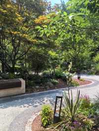 遵義花境口袋公園：小空間裡嘅生態大文章