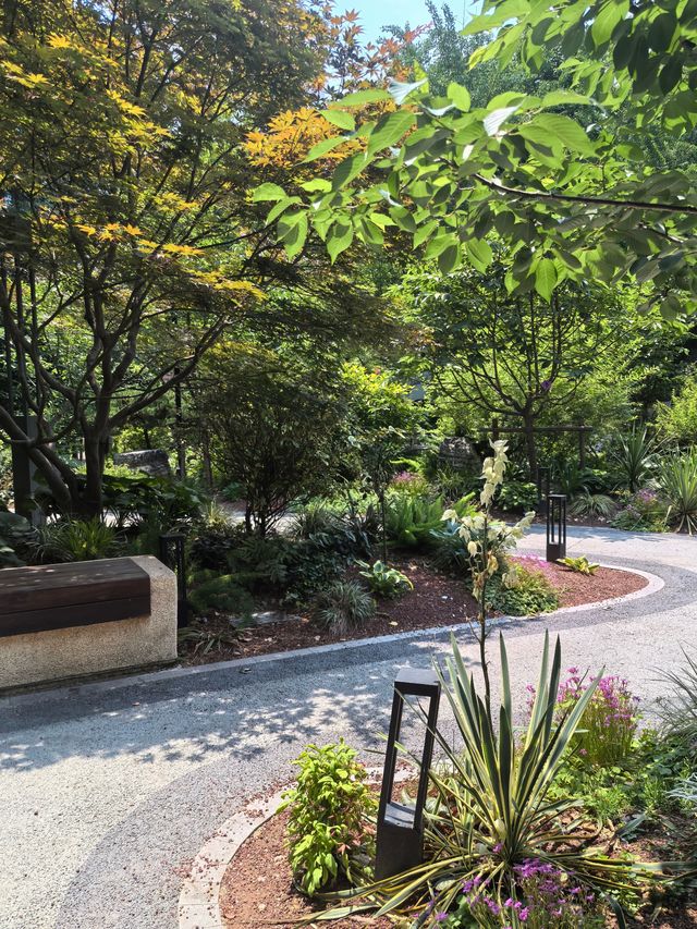 遵義花境口袋公園：小空間裡嘅生態大文章