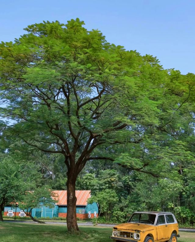 蒲州花園：