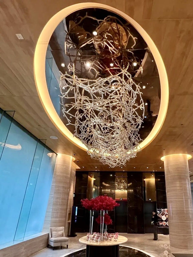 🐾銅鑼灣的寵物悅居｜香港銅鑼灣皇冠假日酒店
