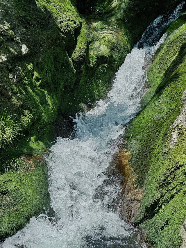 邂逅樂清 | 解鎖小眾寶藏旅行地