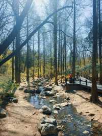 Hiking in botanic garden Beijing 