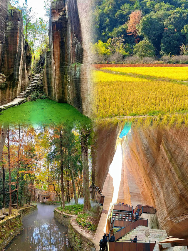 無人擠迫，畀縉雲呢片寶藏地滿分