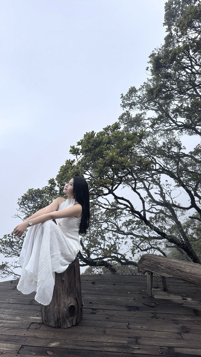 喺玉龍雪山下面邂逅嘅世外桃源