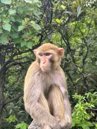 黔靈山公園，繁囂都市中的綠意閒情