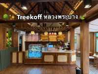 🌳✨ Treekoff หลวงพระบาง 🍃