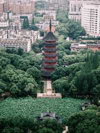 為咗呢12張相，我特登去咗湖州
