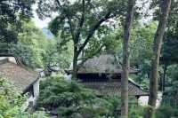 杭州·虎跑公園 西湖邊嘅綠野仙蹤吸氧秘境