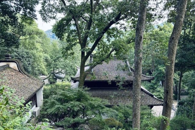杭州·虎跑公園 西湖邊嘅綠野仙蹤吸氧秘境