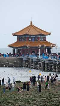 關於春天 | 青島春日漫遊指南