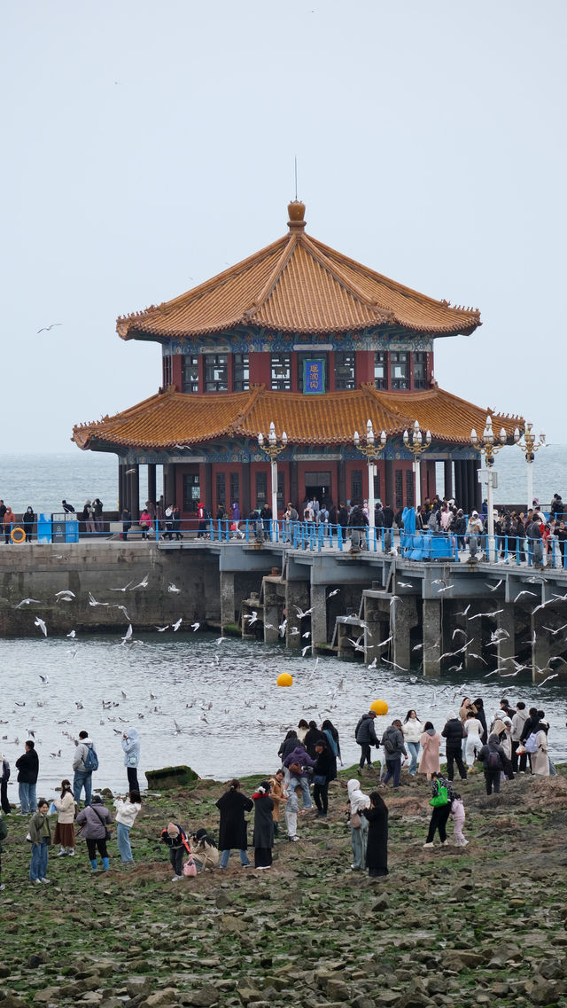 關於春天 | 青島春日漫遊指南