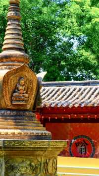 無棣大覺寺，清靜有底蘊，散心好去處