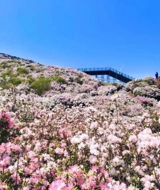 3 Days & 2 Nights in Liupanshui: A Cool City Adventure | Wumeng Grassland + Earth's Core Cableway + Yelang Mysteries