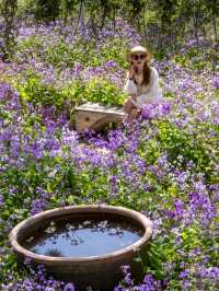 大連闖入莫奈花園！這片紫色花海美到失語～