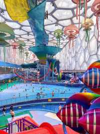 🌊北京水立方嬉水樂園｜夏日玩水天堂