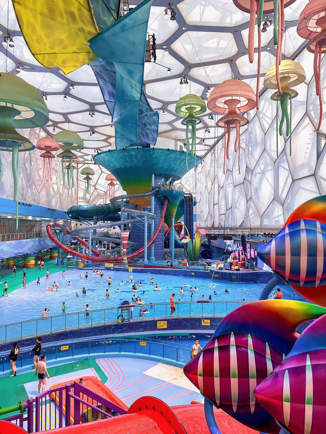 🌊北京水立方嬉水樂園｜夏日玩水天堂
