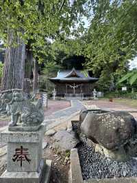 修善寺嘅新井旅館令浸溫泉睇螢火蟲變得輕鬆愜意