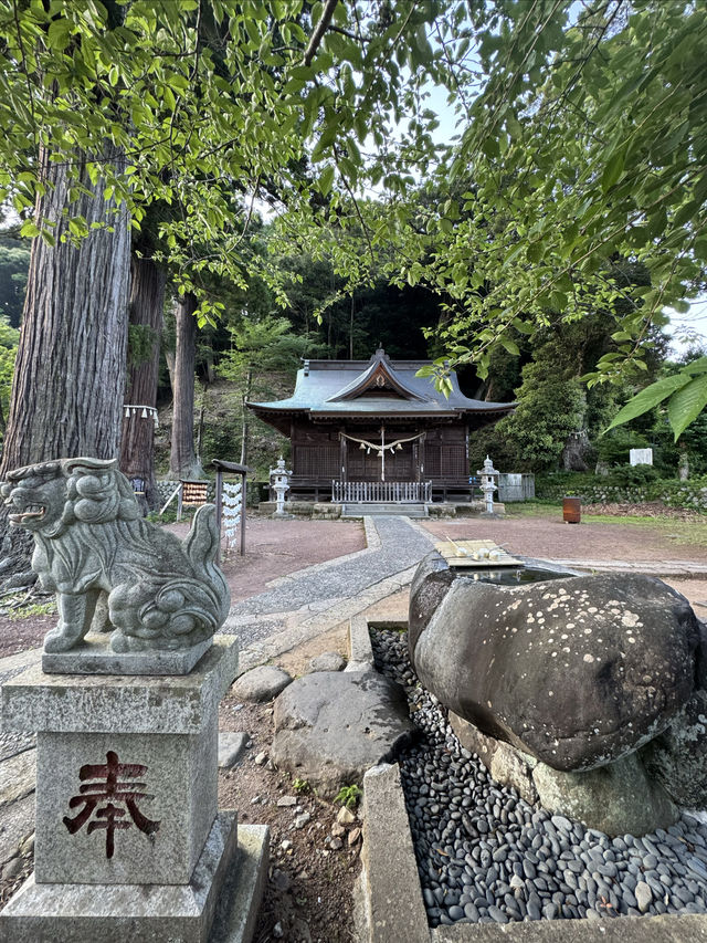 修善寺嘅新井旅館令浸溫泉睇螢火蟲變得輕鬆愜意