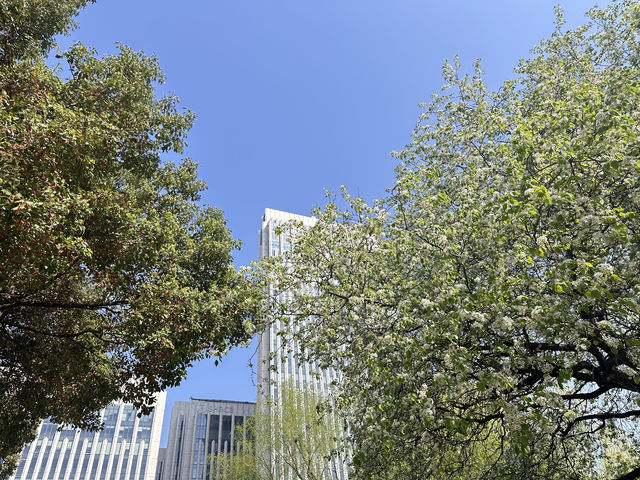 藏喺市中心公園嘅一尺花園，四季窗外景與周邊遊玩全攻略