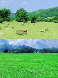 「雲南小阿勒泰」兩日一夜旅遊攻略