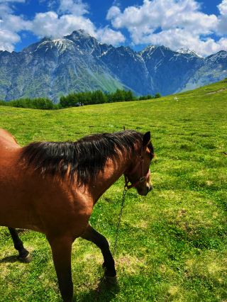 Kazbegi Adventure Guide｜Step into the Scene of Greek Mythology!