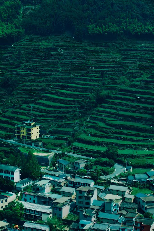 歡迎來麗水3天2晚旅行（500元）攻略，適