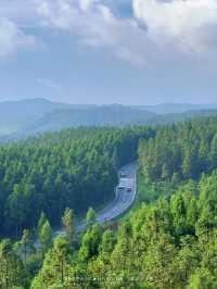 40℃重慶秒變20℃！仙女山避暑全攻略，人均300住瑞士