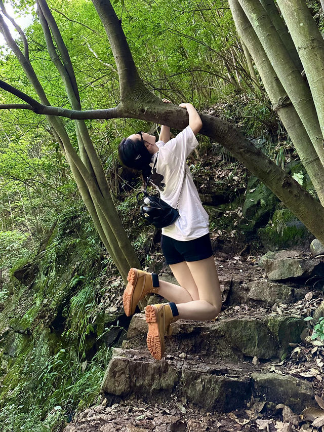 義烏｜夏日避暑勝地|||徒步30min直達！ 藏喺山林入面嘅瀑布 瀑布下天然泳池透心涼，陽光透過樹