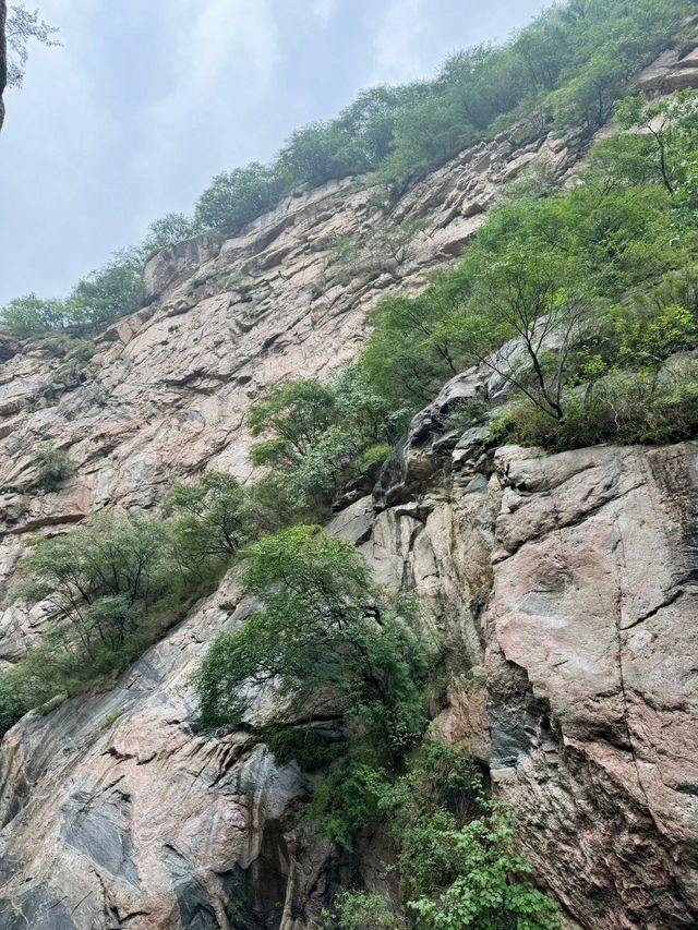 腳軟警告！｜神潭大峽谷全攻略