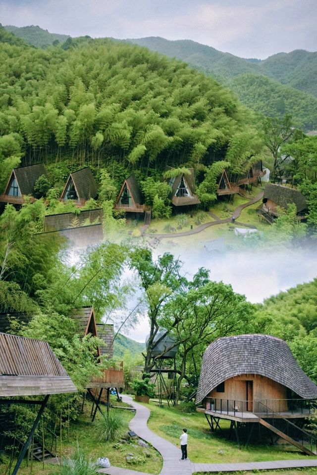 余姚親子家庭狂讚嘅神仙部落！住樹屋、追螢火蟲，嚟咗就唔想走