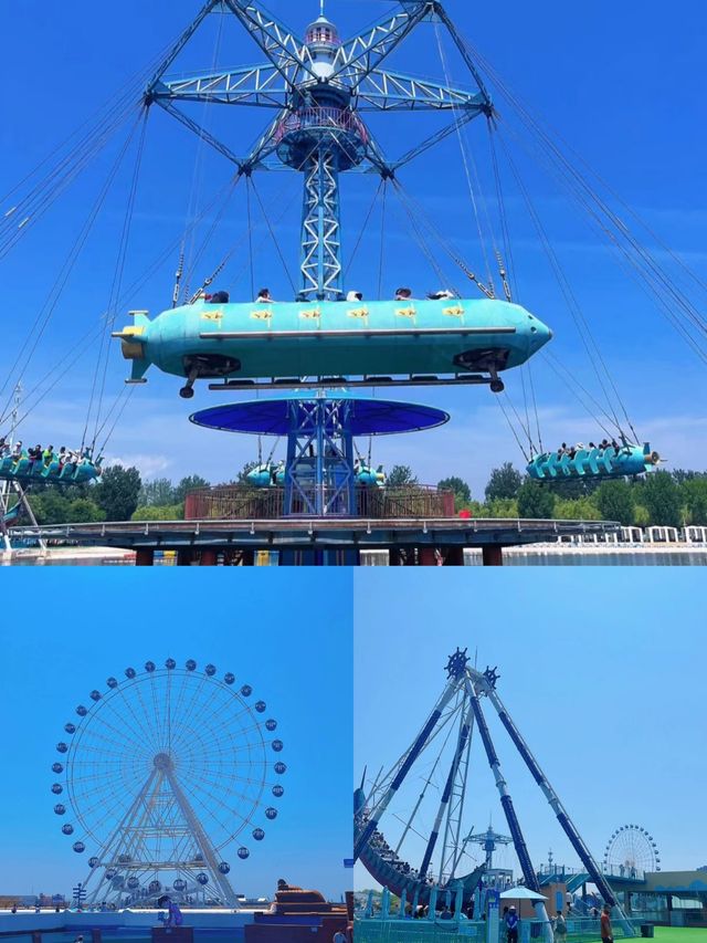 秦皇島樂島已回，亂讀中。。。