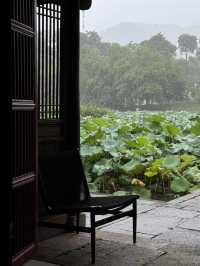 再見呈坎丨微雨過後，小荷輕翻嘅夏日專屬浪漫🪷