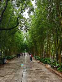 雲南之旅
